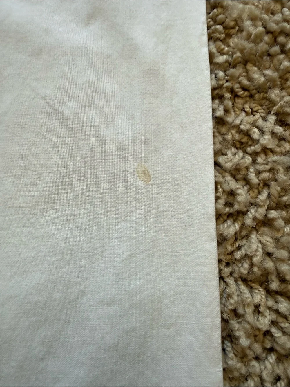 VTG Pair Embroidered Pillowcases Blue Flower Basket Cottagecore Crochet Edge
